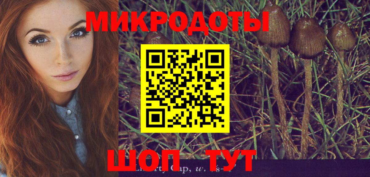 Югорск  Галлюциногенные грибы Magic Shrooms  цена наркотик  Вход с VPN  Псилоцибиновые грибы GOLDEN TEACHER 
